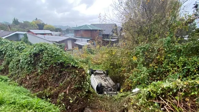 file_20260428104613 file_20260428104613