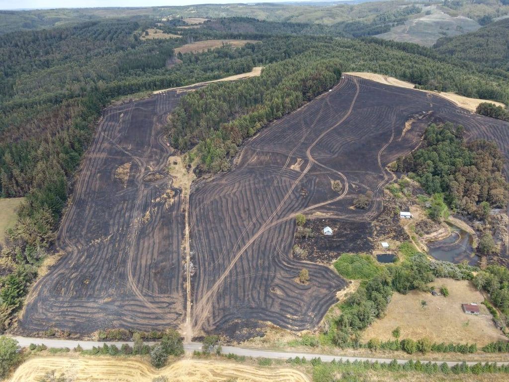 474884601_1050320940440452_5750284409874274558_n 474884601_1050320940440452_5750284409874274558_n