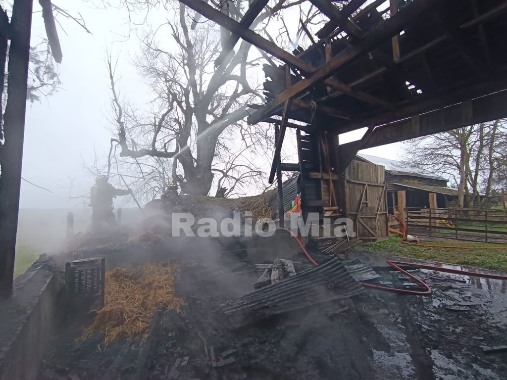 fa6f2691-b2f6-43c4-960d-fa9d7ed57c3c fa6f2691-b2f6-43c4-960d-fa9d7ed57c3c