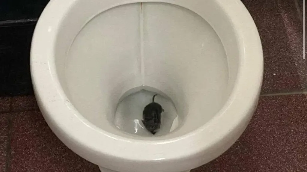 file_20250307162326 file_20250307162326