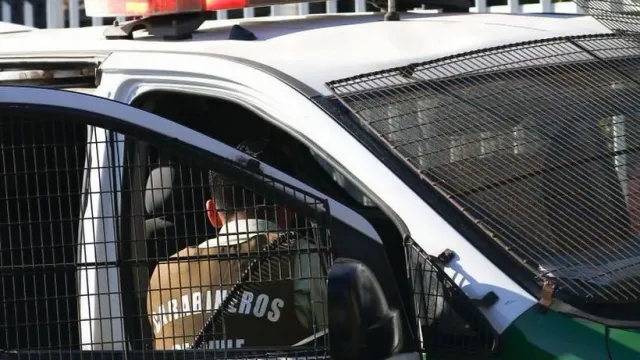 file_20260428094551 file_20260428094551