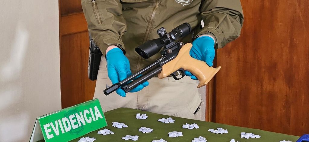 file_20250813155430 file_20250813155430