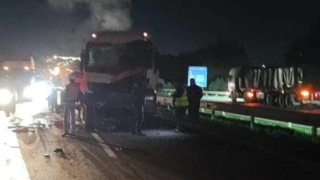 file_20240515101955 file_20240515101955