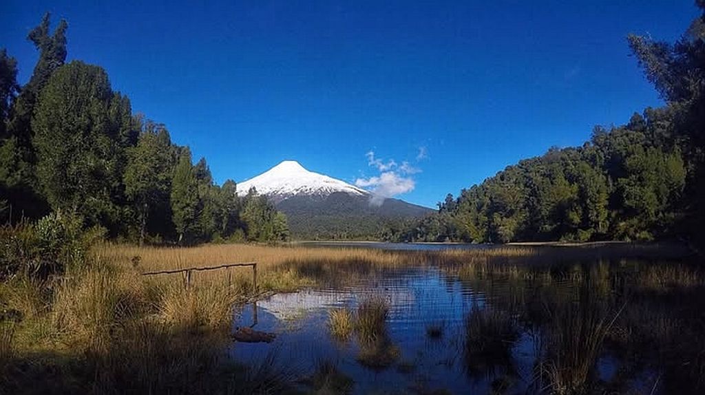 file_20260331093407 file_20260331093407