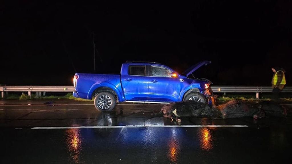 file_20250805155631 file_20250805155631