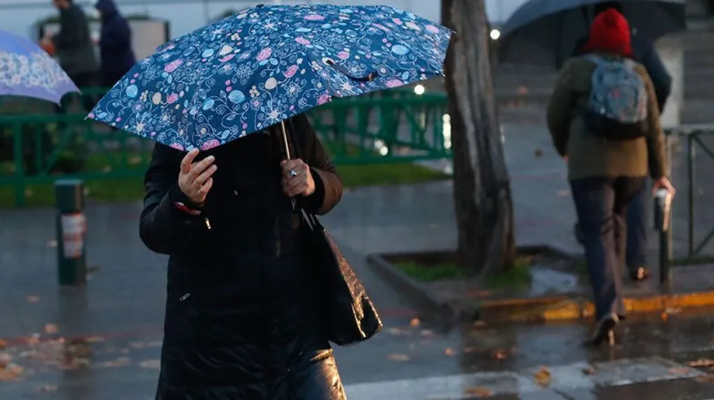 file_20250305145243 file_20250305145243