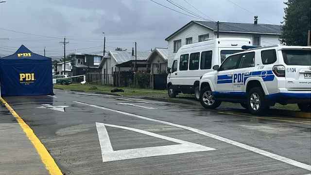 file_20251222092537 file_20251222092537