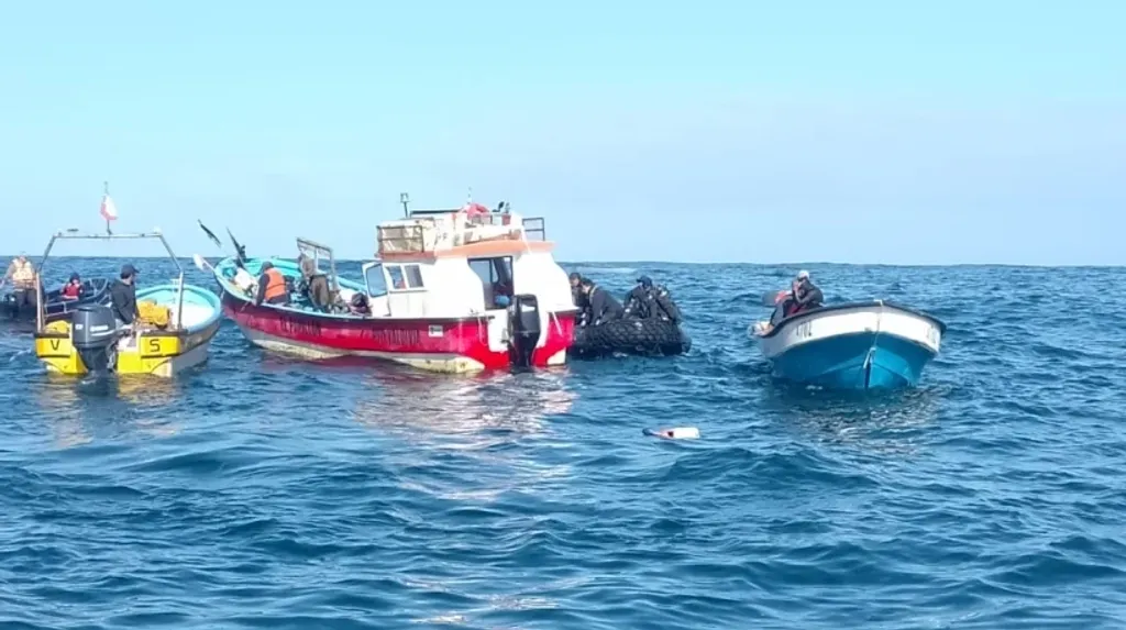 file_20250127101542 file_20250127101542