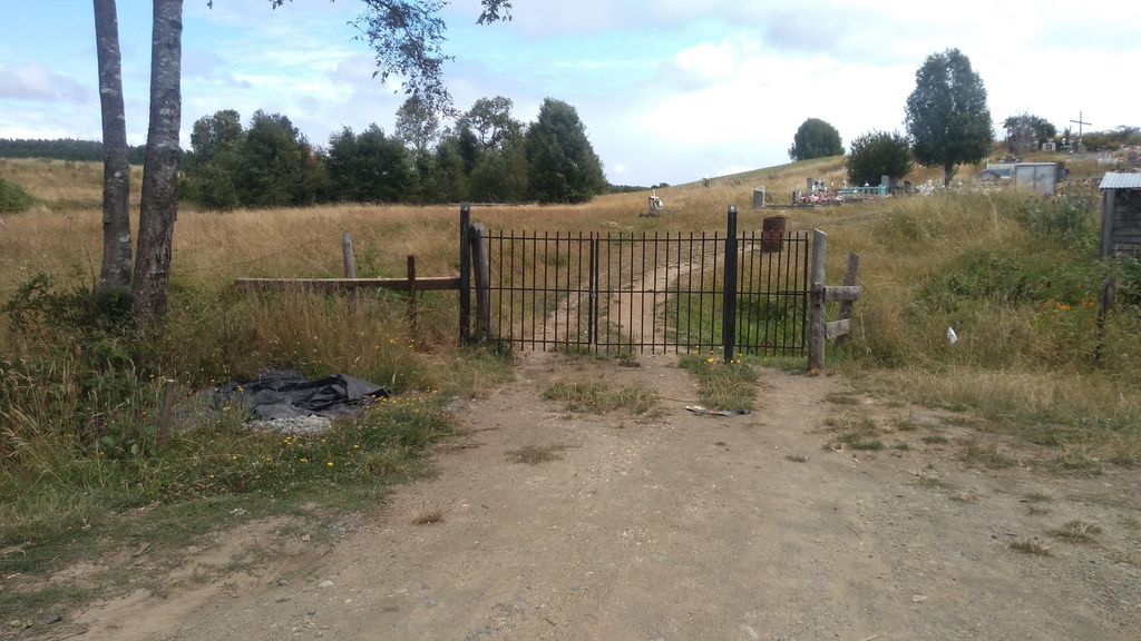 CEM2701685_cdf4b822-0c71-4243-8adf-e05bdc60bad4 CEM2701685_cdf4b822-0c71-4243-8adf-e05bdc60bad4