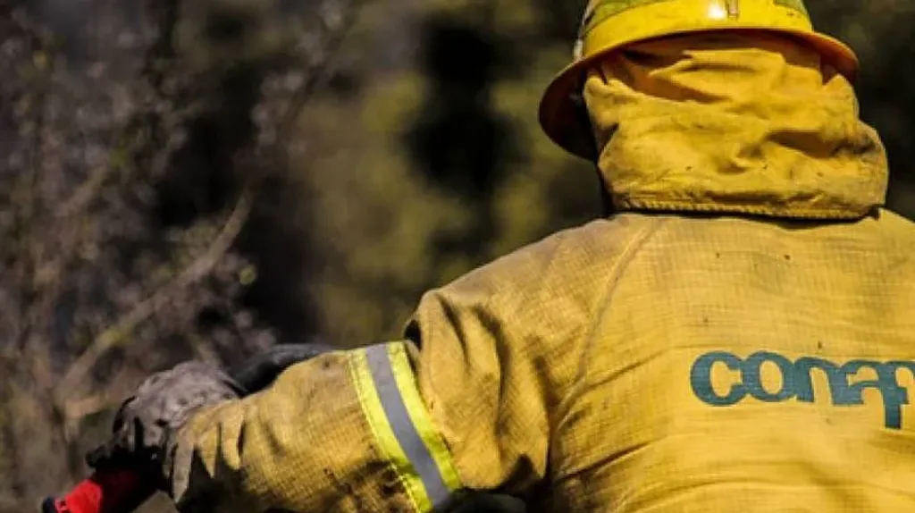 file_20250507171830 file_20250507171830