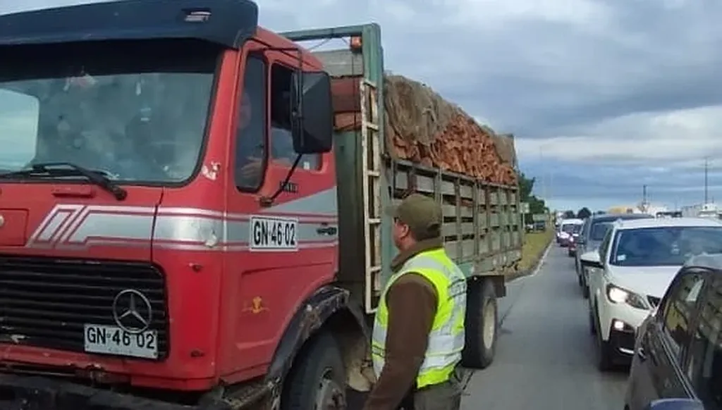 file_20241230130943 file_20241230130943