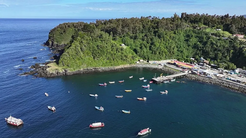 file_20251229171344 file_20251229171344