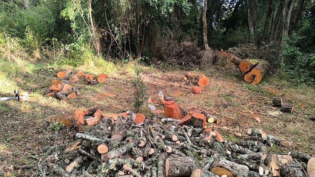 file_20250405125857 file_20250405125857