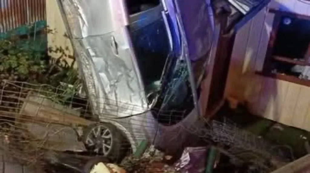 file_20250313093244 file_20250313093244