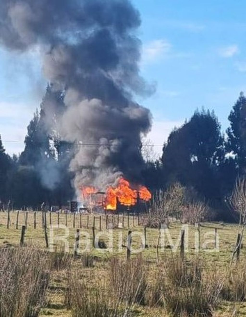 445414133_878734214265793_4441236606689531745_n 445414133_878734214265793_4441236606689531745_n