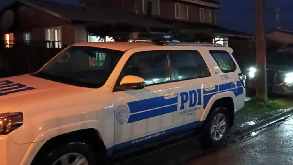 file_20241128171126 file_20241128171126