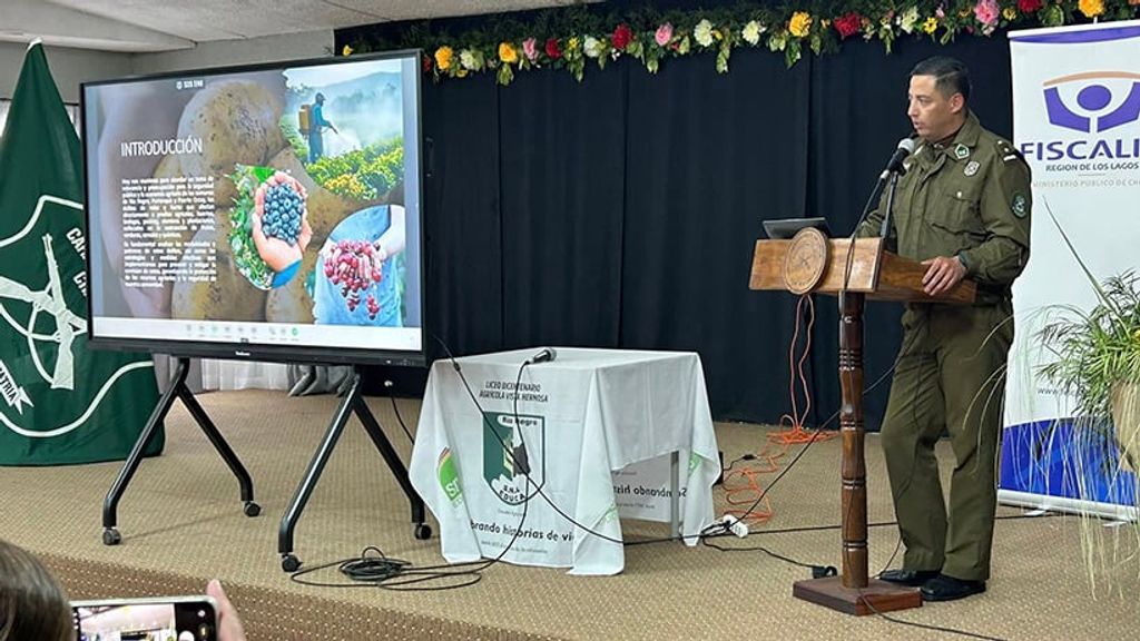 file_20251015170831 file_20251015170831