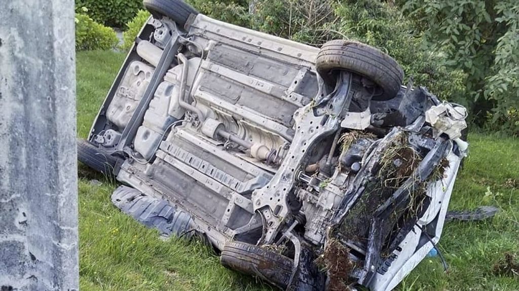 file_20241209100054 file_20241209100054