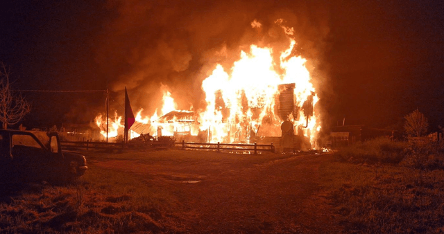 comercio-ilegal-75 comercio-ilegal-75