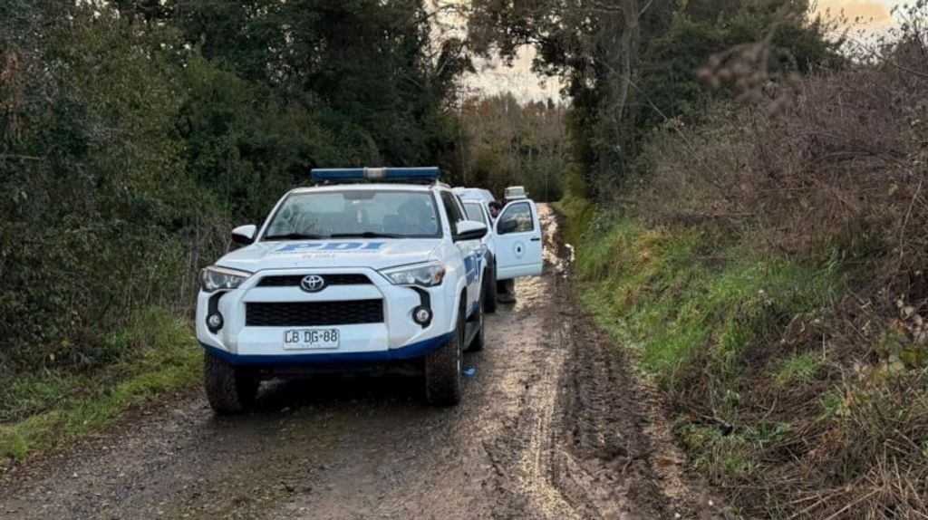 file_20250614184157 file_20250614184157