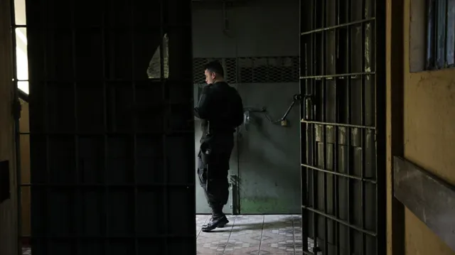 file_20260429093121 file_20260429093121