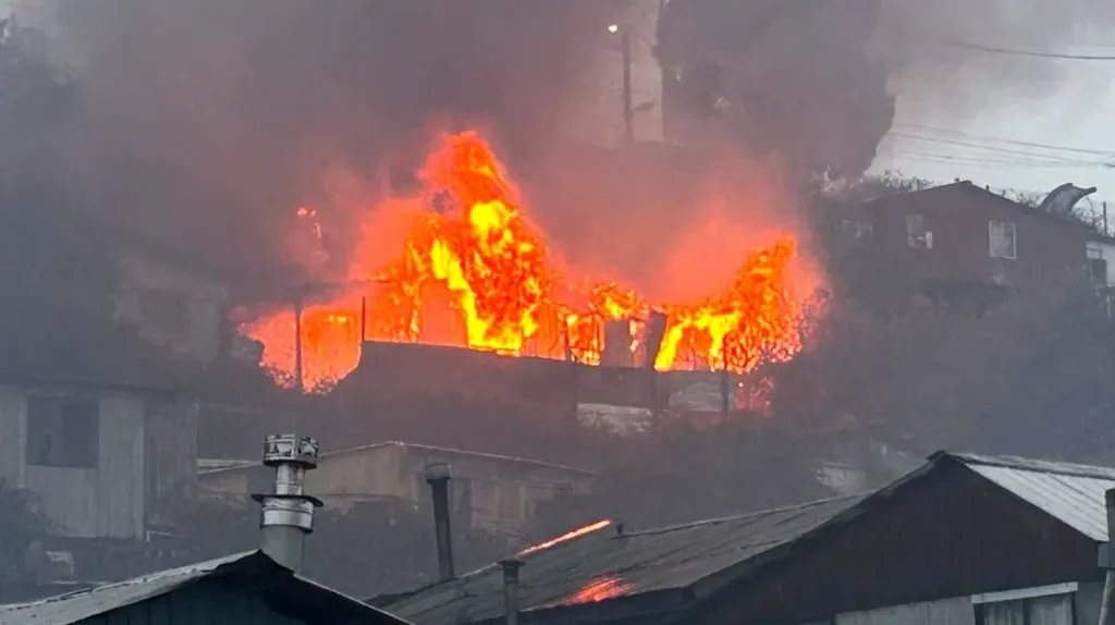 file_20260318095533 file_20260318095533