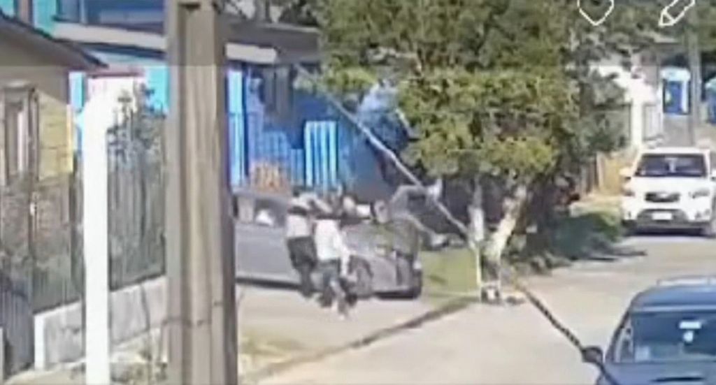 WhatsApp Image 2026-01-29 at 10 WhatsApp Image 2026-01-29 at 10