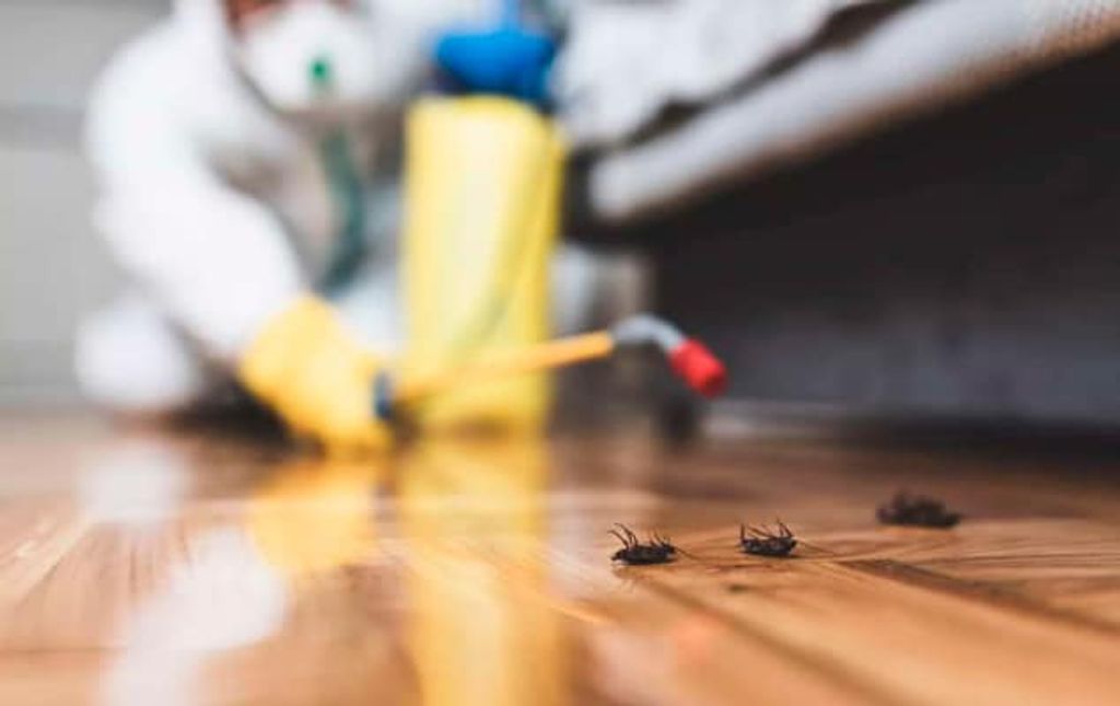 PESTICIDAS 2