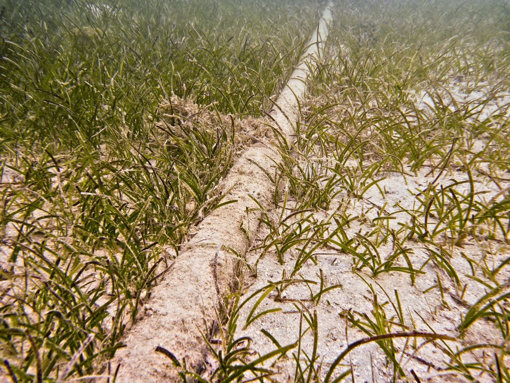 cable subterráneo