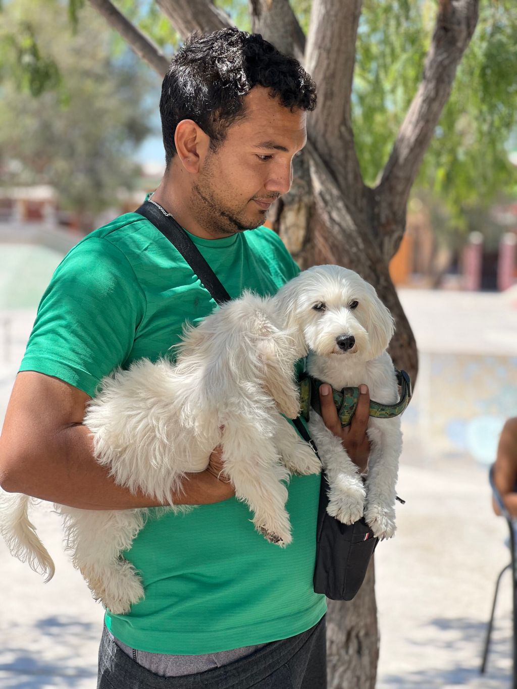 MASCOTA
