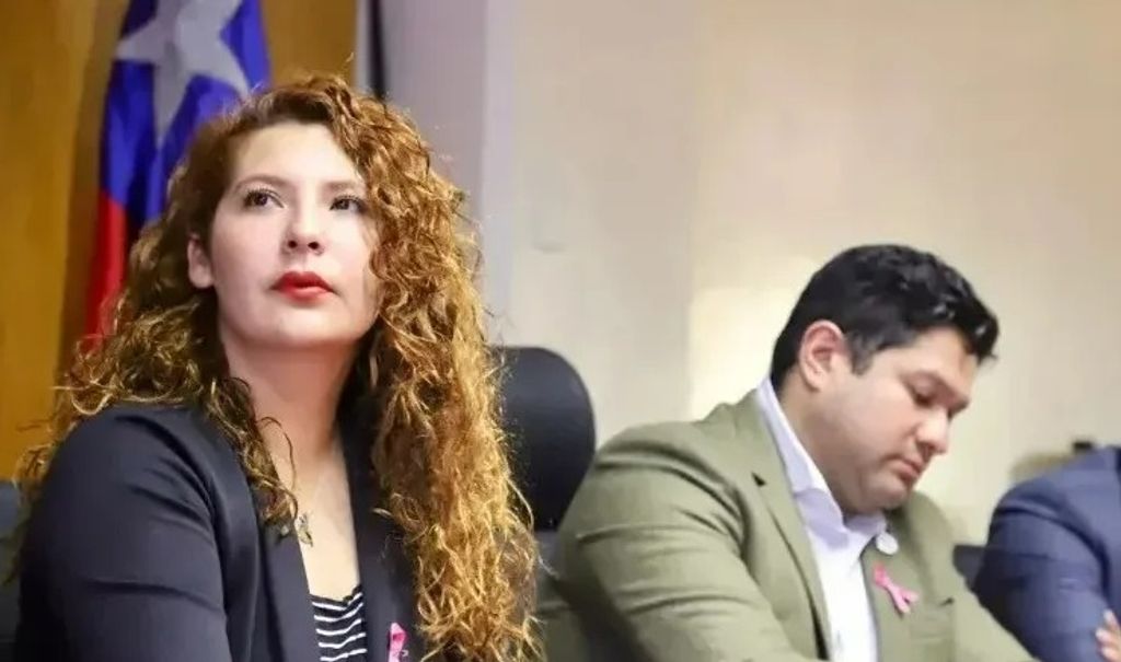 seremi de gobierno atacama