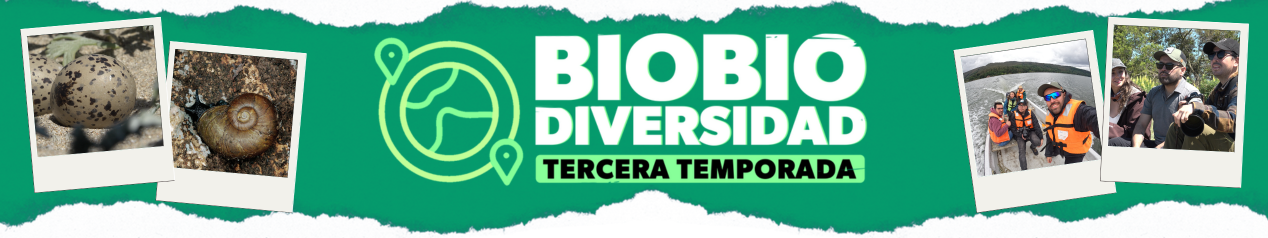 BIOBIO_DIVERSIDAD_TVU