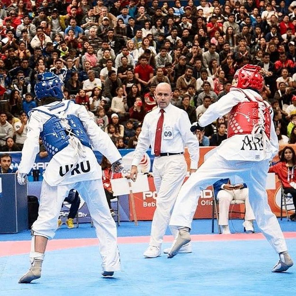 ARBTRO INTERNACIONAL DE TAEKWONDO