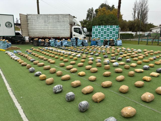 WhatsApp Image 2025-09-15 at 14 WhatsApp Image 2025-09-15 at 14