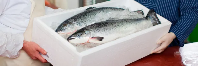 cadena-frio cadena-frio