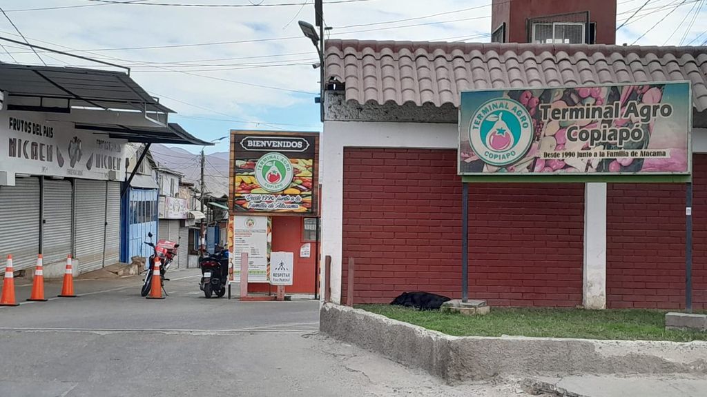 agro copiapo agro copiapo