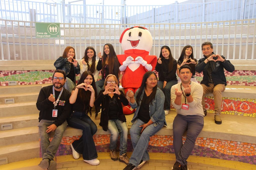 candidatas candidatas