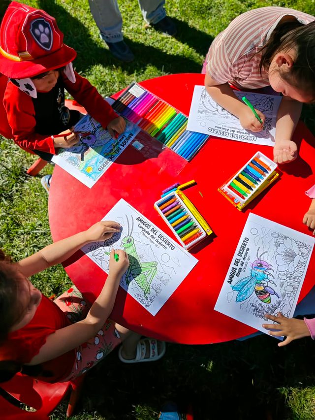 256309 256309