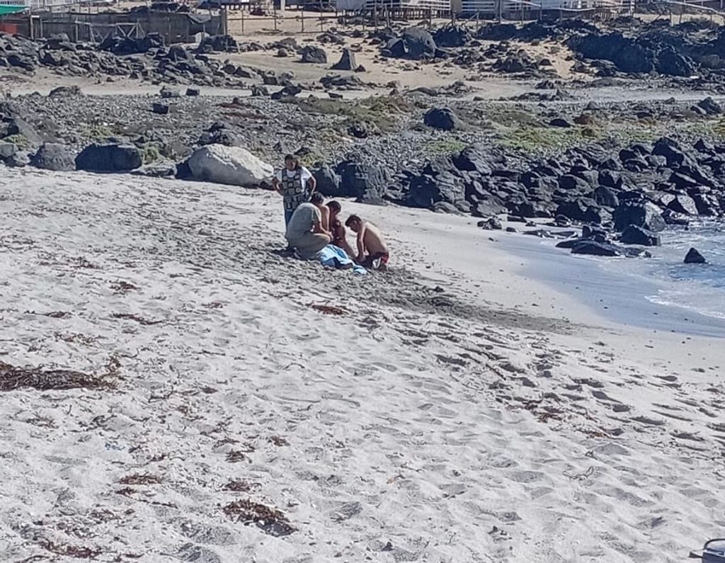 f0ce83dd-1158-4e7e-b092-04deae463352 f0ce83dd-1158-4e7e-b092-04deae463352