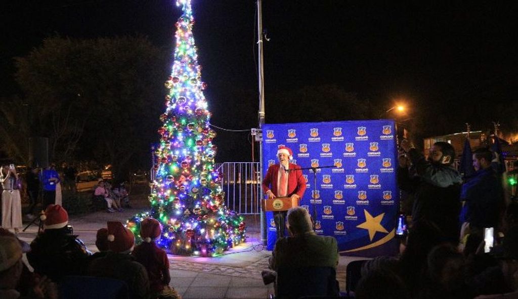 arbol sn pedro arbol sn pedro