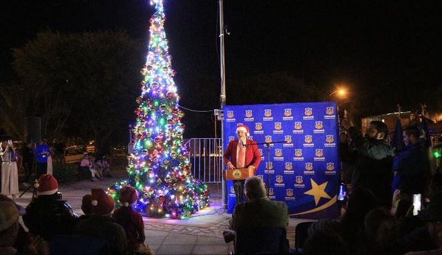 arbol sn pedro arbol sn pedro