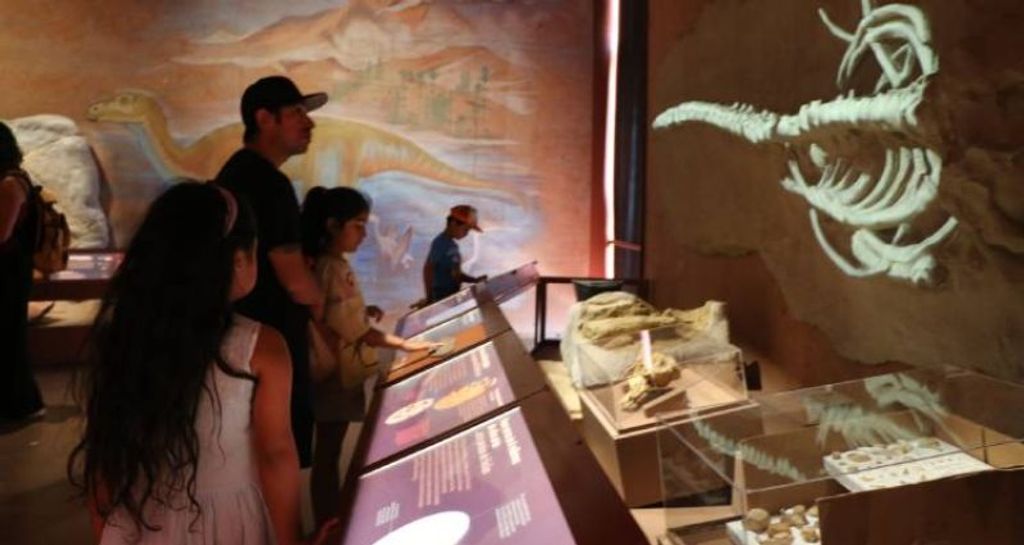 MUSEO REGIONAL MUSEO REGIONAL