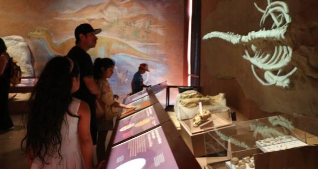MUSEO REGIONAL