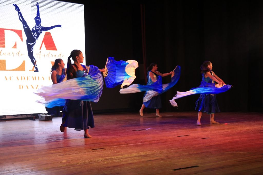 danza copiapo