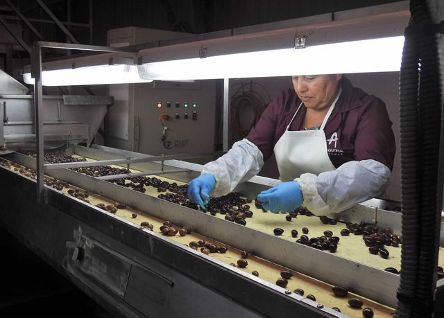 industria-prochile-scaled industria-prochile-scaled