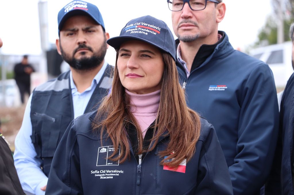 delegada sofia cid - movilizacion de recursos
