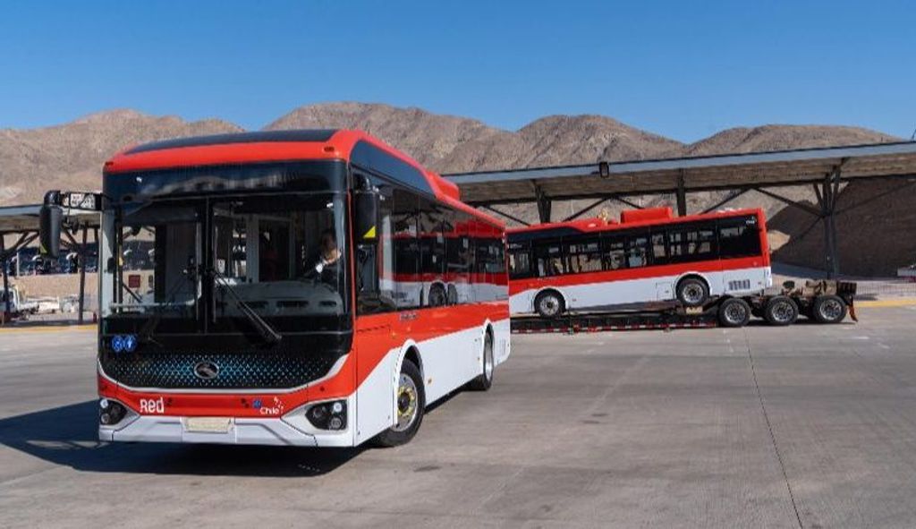 buses-Cop-780x450