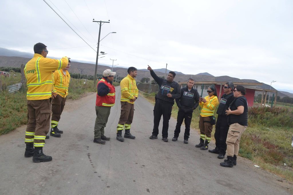 conaf freirina conaf freirina