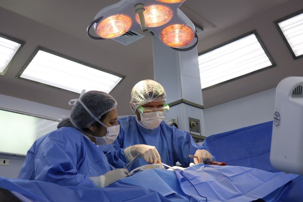 WhatsApp Image 2025-09-02 at 10 WhatsApp Image 2025-09-02 at 10