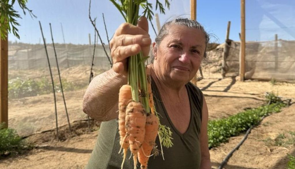 90908-780x449 90908-780x449